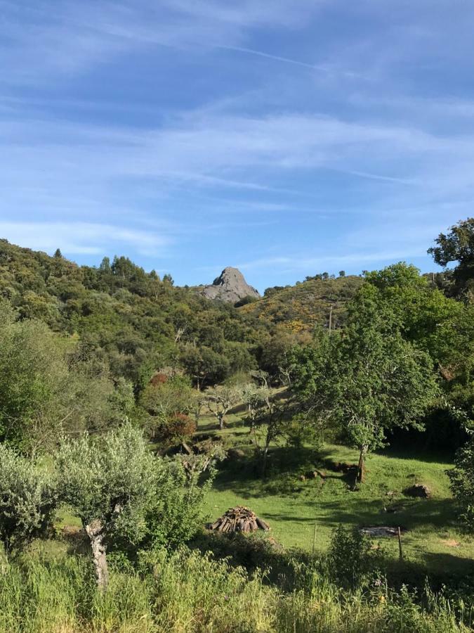 Azeite de Marvão, Olivoturismo casa Mestre do Lagar Exterior foto